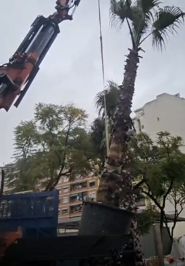 gruas salvador minigruas jekko