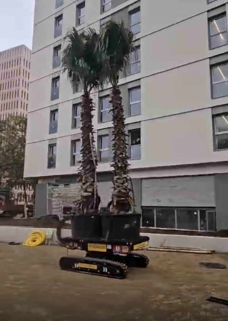 gruas salvador minigruas jekko