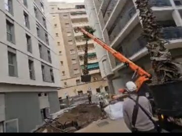 GRÚAS SALVADOR 1000 KG